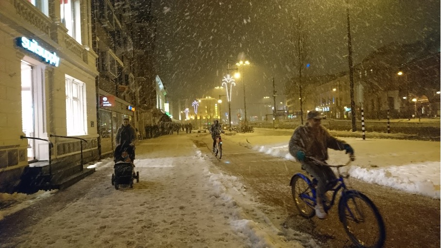 'La neige hivernal à Arnhem/ Wintersnow in Arnhem' is een digitale kleurenfoto uit 2017 van Jeanine Bousie.